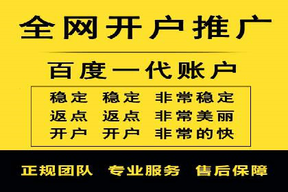 搜索引擎推广的佼佼者——百度搜索推广案例